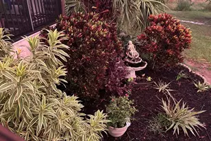 8236 Lake Lowery Rd, Haines City, FL 33844 - Photo 41