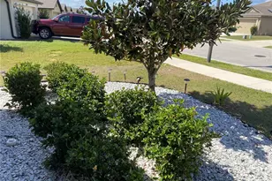 1919 Amber Sweet Cir, Dundee, FL 33838 - Photo 65