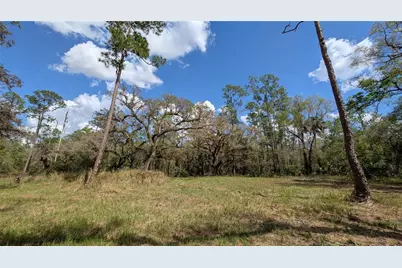 Gillette Road, Zolfo Springs, FL 33890 - Photo 3