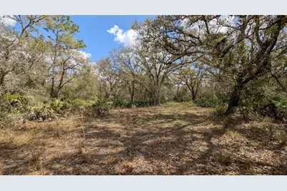 Gillette Road, Zolfo Springs, FL 33890 - Photo 29