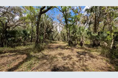 Gillette Road, Zolfo Springs, FL 33890 - Photo 37