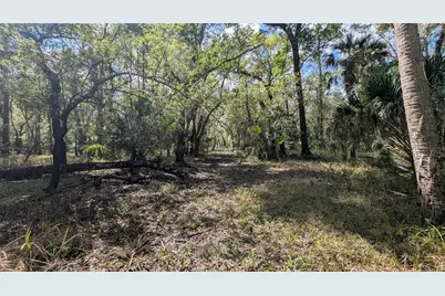 Gillette Road, Zolfo Springs, FL 33890 - Photo 15