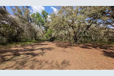 Gillette Road, Zolfo Springs, FL 33890 - Photo 49