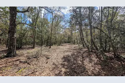 Gillette Road, Zolfo Springs, FL 33890 - Photo 23