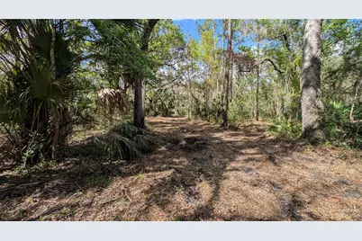 Gillette Road, Zolfo Springs, FL 33890 - Photo 45