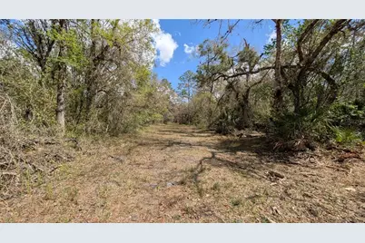 Gillette Road, Zolfo Springs, FL 33890 - Photo 5