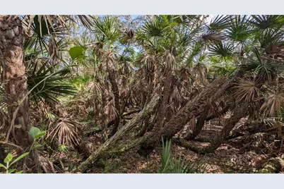 Gillette Road, Zolfo Springs, FL 33890 - Photo 51
