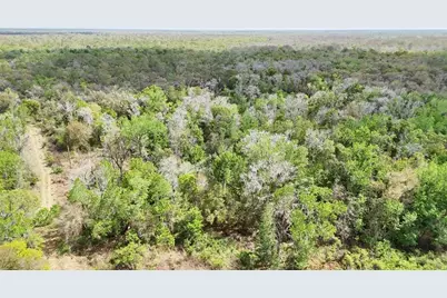 Gillette Road, Zolfo Springs, FL 33890 - Photo 7
