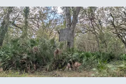 Gillette Road, Zolfo Springs, FL 33890 - Photo 33