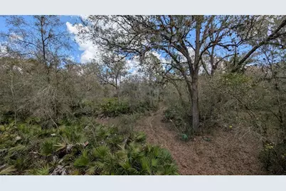 Gillette Road, Zolfo Springs, FL 33890 - Photo 31