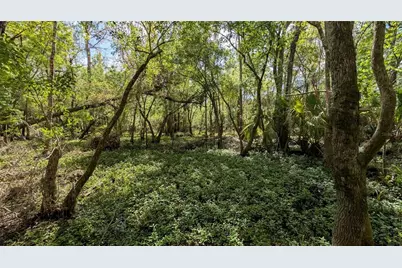 Gillette Road, Zolfo Springs, FL 33890 - Photo 43
