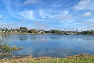 1124 St Anne Shrine Rd, Lake Wales, FL 33898 - Photo 45