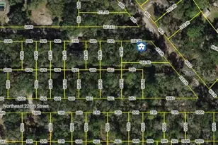 0 NE 227th St, Fort Mc Coy, FL 32134 - Photo 1