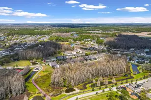 3141 Town Ave, New Port Richey, FL 34655 - Photo 35