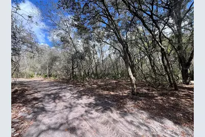 2540 Tiger Creek Trail, Lake Wales, FL 33898 - Photo 11