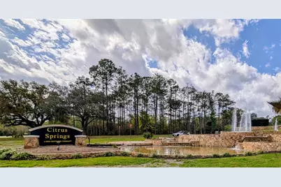 2256 W Greenway Place, Citrus Springs, FL 34434 - Photo 33
