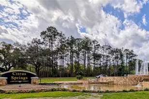 2256 W Greenway Pl, Citrus Springs, FL 34434 - Photo 33