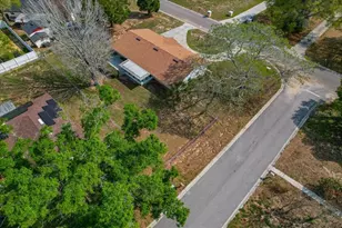 425 S Ramona Ave, Lake Alfred, FL 33850 - Photo 45