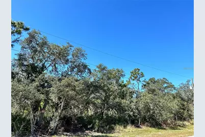 Woodstork Way, Frostproof, FL 33843 - Photo 13