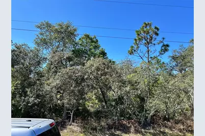 Woodstork Way, Frostproof, FL 33843 - Photo 5