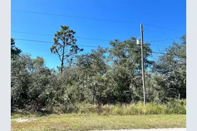 Woodstork Way, Frostproof, FL 33843 - Photo 15