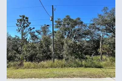 Woodstork Way, Frostproof, FL 33843 - Photo 19