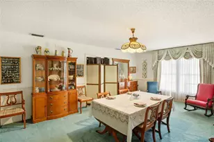 3903 Edison Ave, Bowling Green, FL 33834 - Photo 13