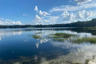 107 Eliam Rd, Melrose, FL 32666 - Photo 65