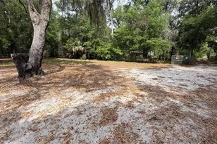107 Eliam Rd, Melrose, FL 32666 - Photo 41