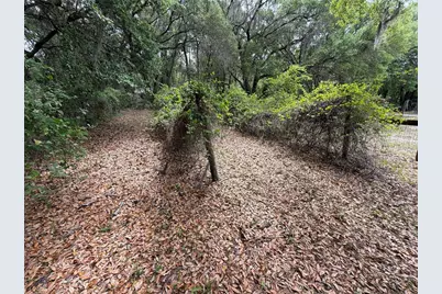 7526 NE 221st Street, Melrose, FL 32666 - Photo 13