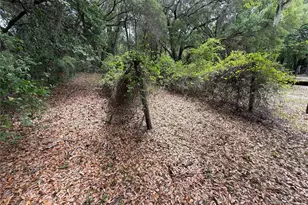 7526 NE 221st St, Melrose, FL 32666 - Photo 13