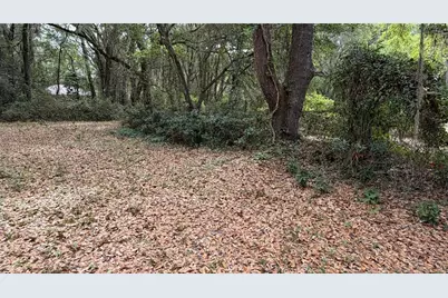 7526 NE 221st Street, Melrose, FL 32666 - Photo 13