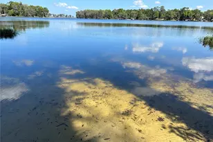 7526 NE 221st St, Melrose, FL 32666 - Photo 51