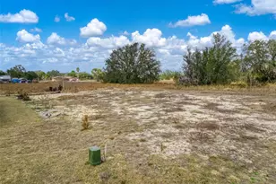 189 N Oleander Dr, Avon Park, FL 33825 - Photo 53