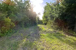 692 Howard Rd, Auburndale, FL 33823 - Photo 39