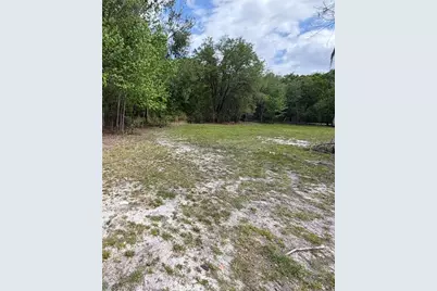 10033 SW County Road 225, Starke, FL 32091 - Photo 11