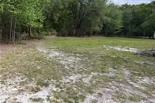 10033 SW County Rd 225, Starke, FL 32091 - Photo 11