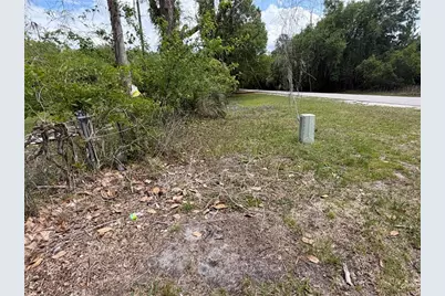 10033 SW County Road 225, Starke, FL 32091 - Photo 7