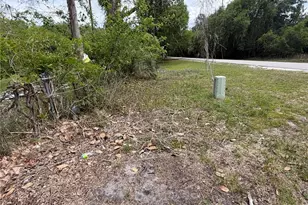 10033 SW County Rd 225, Starke, FL 32091 - Photo 7