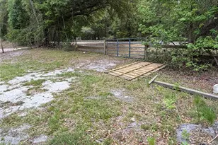 10033 SW County Rd 225, Starke, FL 32091 - Photo 25