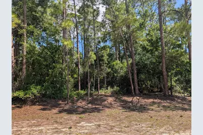1114 Plumosa Drive, Indian Lake Estates, FL 33855 - Photo 1