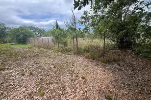 10780 State Road 60 E, Lake Wales, FL 33898 - Photo 39