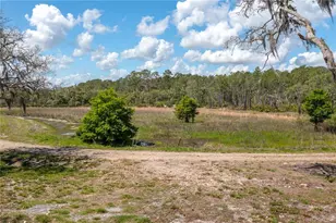 991 Bay Ct, Frostproof, FL 33843 - Photo 35