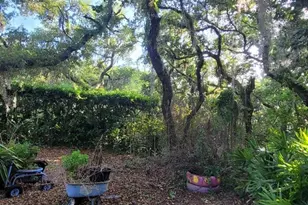 991 Old Cutler Rd, Lake Wales, FL 33898 - Photo 43