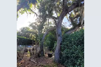 991 Old Cutler Road, Lake Wales, FL 33898 - Photo 37