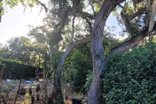 991 Old Cutler Rd, Lake Wales, FL 33898 - Photo 37