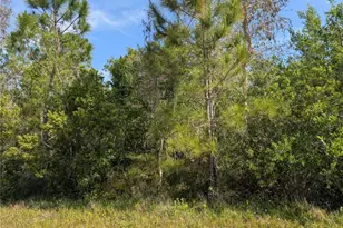 704 Orchid Dr, Indian Lake Estates, FL 33855 - Photo 1