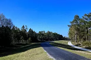 8671 Hunters Key Cir, Tampa, FL 33647 - Photo 29