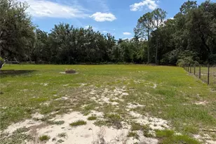 6030 Green Pond Rd, Polk City, FL 33868 - Photo 17