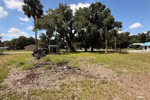 222 4th St W, Zolfo Springs, FL 33890 - Photo 7